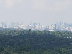 Eco Sanctuary (D23), Condominium #149670642